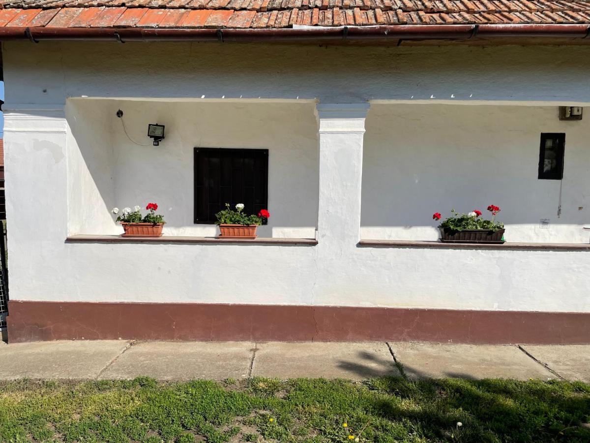 Zsuzsa Apartman Lägenhet Poroszló Exteriör bild